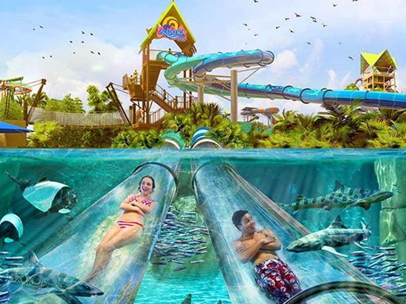 Dolphin Plunge en Aquatica